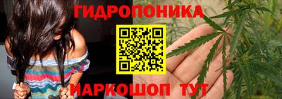 молекула духа Лесосибирск