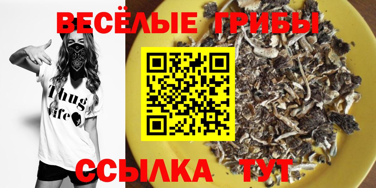 Камень-на-Оби  Псилоцибиновые грибы прущие грибы  Вход с VPN 