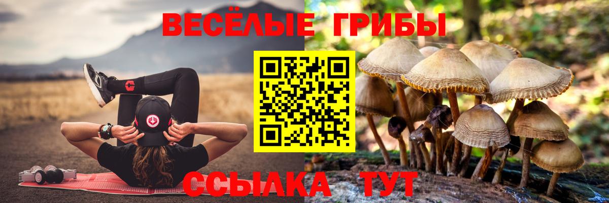 Псилоцибиновые грибы Magic Shrooms Камень-на-Оби